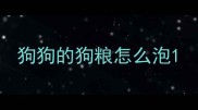 狗狗的狗粮怎么泡
