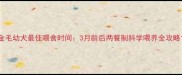 金毛幼犬最佳喂食时间3月龄后两餐制科学喂养全攻略