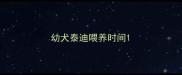 幼犬泰迪喂养时间