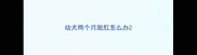 幼犬两个月脱肛怎么办