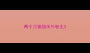 两个月猫猫体外驱虫