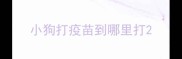 小狗打疫苗到哪里打