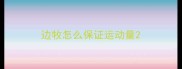 边牧怎么保证运动量