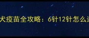 新手必看小型犬幼犬疫苗全攻略6针12针怎么选附免费疫苗清单