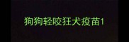 狗狗轻咬狂犬疫苗