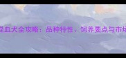柯基泰迪混血犬全攻略品种特性饲养要点与市场前景深度