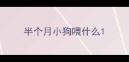 半个月小狗喂什么