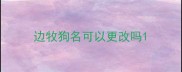 边牧狗名可以更改吗