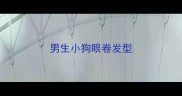 男生小狗眼卷发型