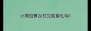 小狗疫苗没打完能剪毛吗