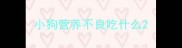 小狗营养不良吃什么