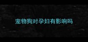 宠物狗对孕妇有影响吗