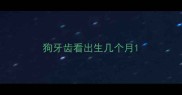 狗牙齿看出生几个月