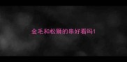 金毛和松狮的串好看吗