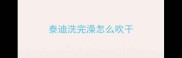 泰迪洗完澡怎么吹干