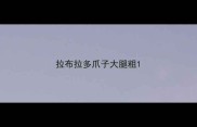 拉布拉多爪子大腿粗