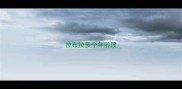 拉布拉多个年龄段