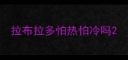 拉布拉多怕热怕冷吗