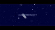可爱的宠物狗有哪些