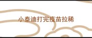 小泰迪打完疫苗拉稀