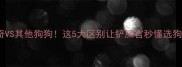 哈士奇VS其他狗狗这5大区别让铲屎官秒懂选狗指南