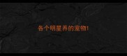 各个明星养的宠物