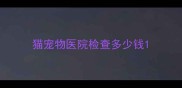 猫宠物医院检查多少钱