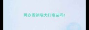 两岁雪纳瑞犬打疫苗吗