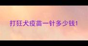 打狂犬疫苗一针多少钱
