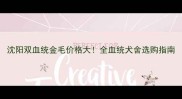沈阳双血统金毛价格大全血统犬舍选购指南