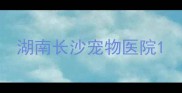 湖南长沙宠物医院