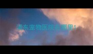浦东宠物医院在哪里