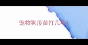 宠物狗疫苗打几年