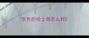 灰色的哈士奇怎么样