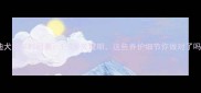 泰迪犬成年时间表1-3岁关键期这些养护细节你做对了吗