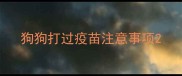 狗狗打过疫苗注意事项