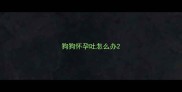狗狗怀孕吐怎么办