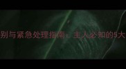 泰迪犬内出血症状识别与紧急处理指南主人必知的5大警示信号及应对措施