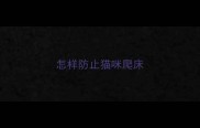 怎样防止猫咪爬床