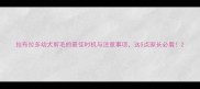 拉布拉多幼犬剪毛的最佳时机与注意事项这5点家长必看