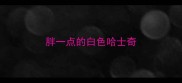 胖一点的白色哈士奇