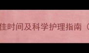 金毛犬洗澡剃毛最佳时间及科学护理指南附剃毛步骤图解