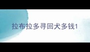 拉布拉多寻回犬多钱