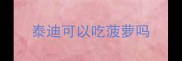 泰迪可以吃菠萝吗