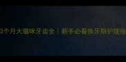 3个月大猫咪牙齿全新手必看换牙期护理指南