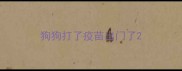 狗狗打了疫苗出门了
