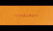 狗狗老是张开嘴巴