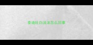 泰迪吐白沫沫怎么回事
