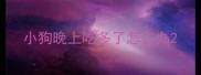 小狗晚上吃多了怎么办