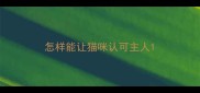 怎样能让猫咪认可主人